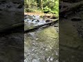 📍Peaceful River Views at the Townsend Wye | Cades Cove | Great Smoky Mountains 4K