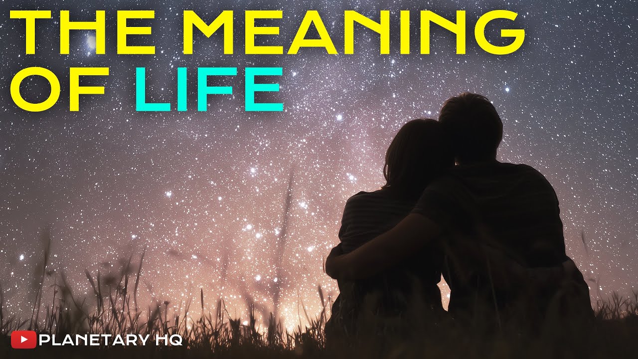 The Meaning of Life EXPLAINED