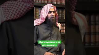 Можно ли праздновать  новый год и рождество ?