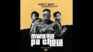 Soft Boy ft Celeb City Mwikala Pachola prod by Dj Momo screenshot 5