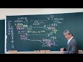 伝習館2020生物基礎残り授業１／３