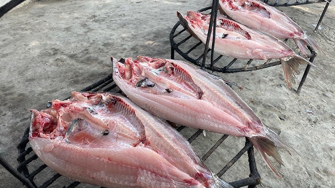 Shaffof pantiesdagi axlatxonaning yaqin suratga qarang Shaffof pantiesdagi axlatxonaning yaqin suratga qarang