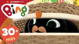 5 x Pilnas Epizodes | ⭐ Bings: Labākās Epizodes ⭐ | Bings Latviski
