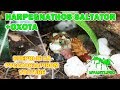 Harpegnathos saltator (Салтаторы) в России