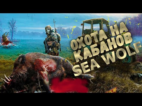 stalker online|фарм на кабанах|фарм 2020|поставщик|фарм сталкер онлайн