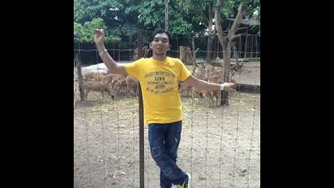 Lagu baru vojoel