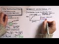 Spectrophotometers, calibration curves and Beer's Law