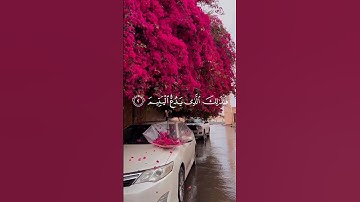 سورة الماعون كاملة بصوت إسلام صبحي #quran #قرآن #قرآن_كريم_أرح_قلبك_وسمعك #اسلام_صبحي