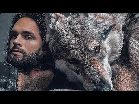 Video: Wolfdogs: Življenje z Wolf hibridnimi mladiči