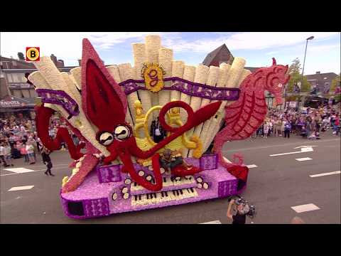 Graafschap | Corso Valkenswaard