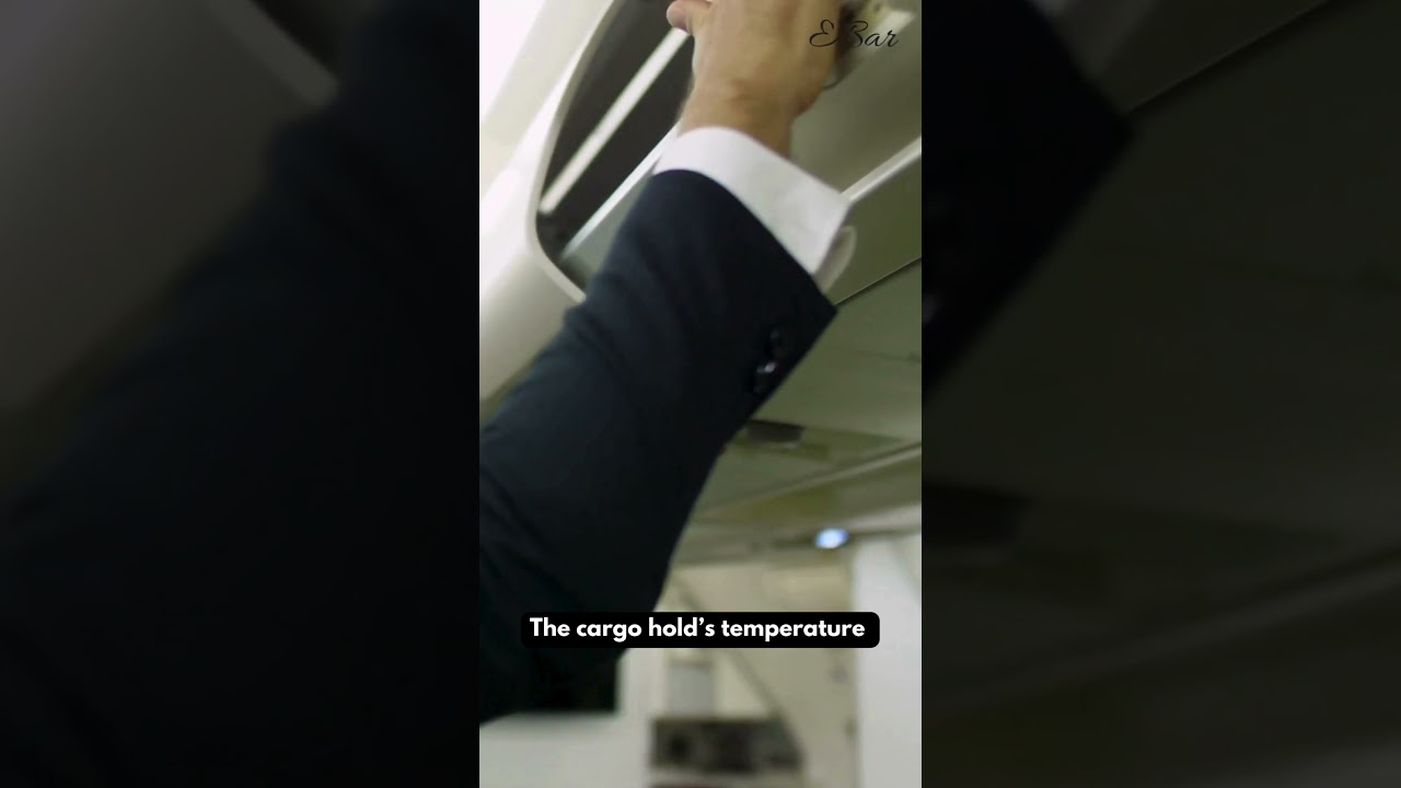 Flying with Cigars: Essential Tips for Packing, TSA Rules, and Customs Regulations Pt.1