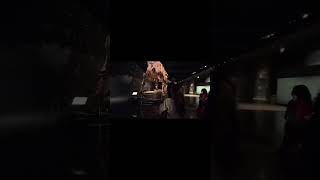 A Night at the Museum (Museum of Natural History NYC) 