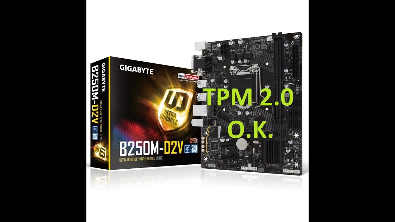 ✔TPM2 en la placa Gigabyte GA-B250M-D2V. W11 ready
