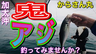 鬼アジ 和歌山のブランドアジ炸裂 仕掛け エサ 釣り方解説 Youtube 鬼アジ 和歌山のブランドアジ炸裂 仕掛け エサ 釣り方解説 Youtube