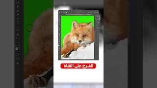 قص الصور باحترافية #photoshoptutorial