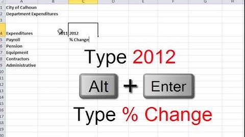Microsoft Excel: How to Enter Column Titles and System Date
