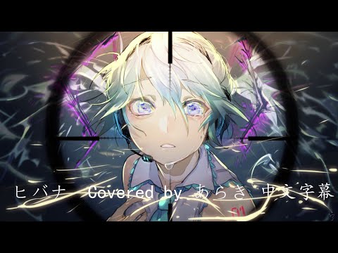 ヒバナ Covered by あらき 中文字幕