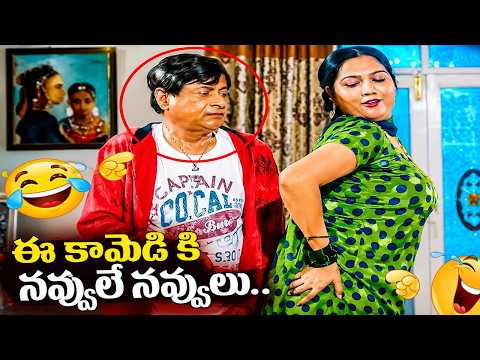 M S Narayana & Hema Hilarious 🤣Comedy Scenes |Latest Telugu Comedy | Videos |@iDreamCelebrityMasti