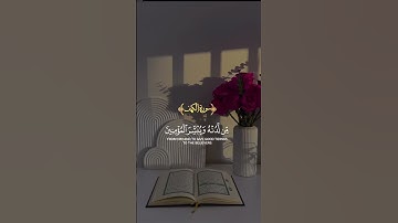 #لايك #سوره #القزابري #يصلك #تيك_توك  #اكسبلور #المصحف #الرحمن