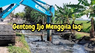 KERUKAN GENTONG BERAKSI❗️BERKAH LUMPUR DI EMPANG WARGA❗️#kdm 