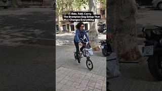 Bicycle dog carrier adapter #Brompton #BikeLife #CyclingWithDogs #FoldingBike #UrbanCycling