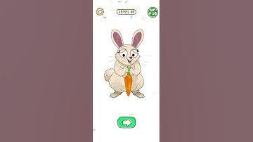 Braindom Draw Puzzle Level 41-50 gameplay walkthrough