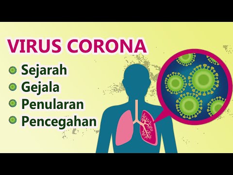 apa-itu-virus-corona---penjelasan-lengkap-mengenai-virus-corona-asal-mula-virus-corona
