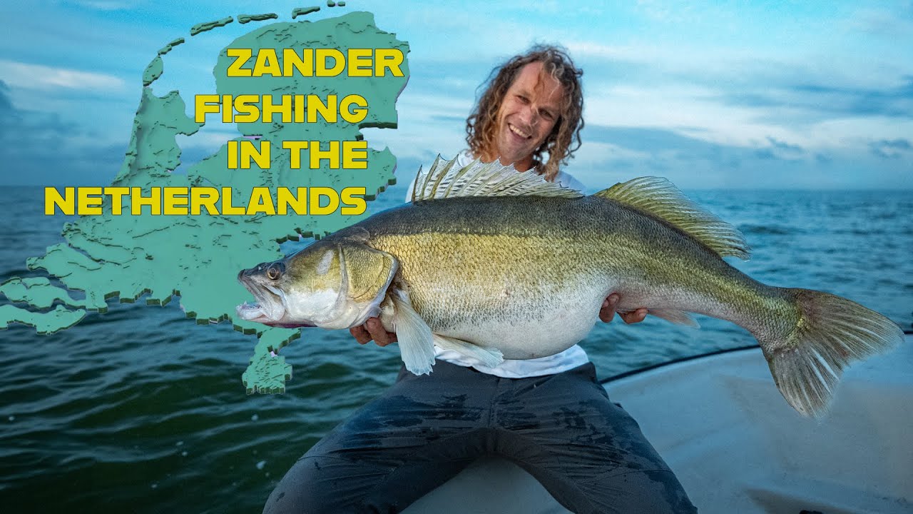 Zander fishing in The Netherlands