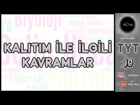 8) Kalıtım İle İlgili Kavramlar