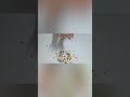 Shell game#shell#shellgame#reverse#colorful#colors#game#gameplay#gaming#games#art#diy#diygame#fun