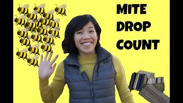 Mite Drop Count & Bottom Board Cleaning -- Bee Vlog #31, 2018