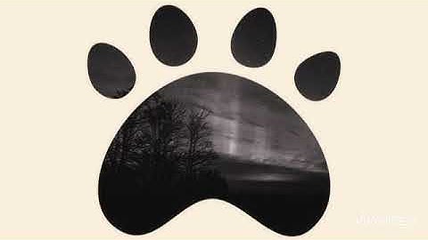 Sistem pendukung keputusan