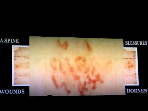 ტურინი -  2010 წლის ექსპოზიცია