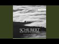 Miniature de la vidéo de la chanson Schwanengesang, D. 957: Xii. Am Meer. Sehr Langsam