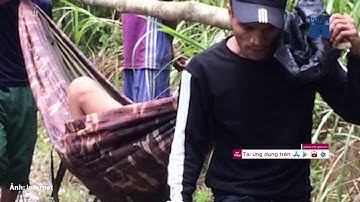 Rượu ngâm hạt cây rừng "đoạt mạng" 3 người