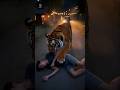 He Fought the Tiger… But the Tiger Never Left Him Modox Recap #shorts