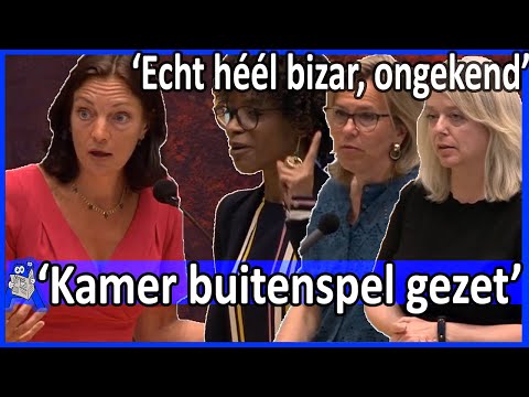 Sandra Beckerman 'Kamer buitenspel, echt hl bizar Kabinet negeert grondwet' Regeling Tweede Kamer