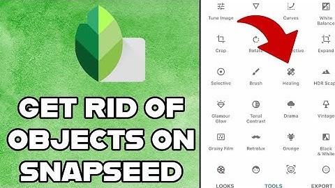 How to Get Rid of Objects in Snapseed 2024?