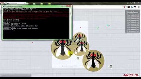 ogarul private server hack bots minion 999999 minion