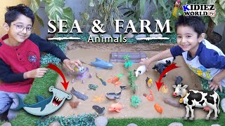 Lets Learn and Clean Farm Animals & Sea Animals by Rayan and Zayan