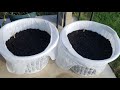 Dollar Tree Laundry Baskets for Gardening! | Gardening on a Budget 💵🌱