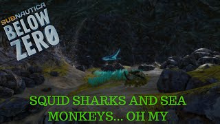 QUICK STREAM | COUPLE UPDATES | Subnautica: Below Zero (experimental) Exploring Build 19995