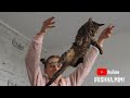 Кастрация кота Гали 😼