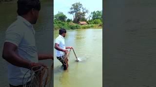 4 Big Fish in Net || Amazing fishing in my Pond #traditionalfishing