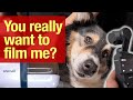 Very Useful Pet Grooming Kit by Oneisall – Filming of a Review