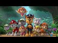 Paw Partrol Team Action Story For Kids