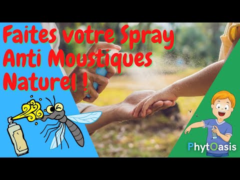 Vidéo: Spray Anti-insectes Maison: Recettes Naturelles Pour Votre Peau, Votre Maison Et Vos Plantes