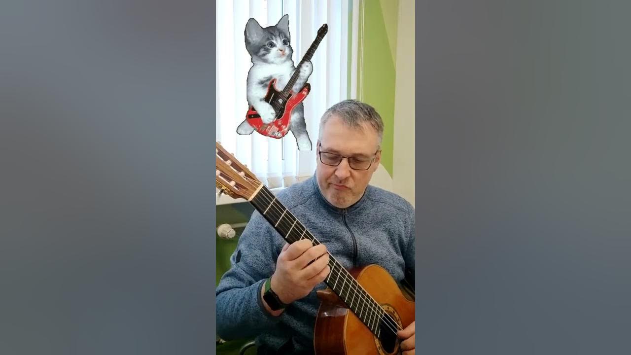 Зоопарк на гитаре. Зоопарк на гитаре