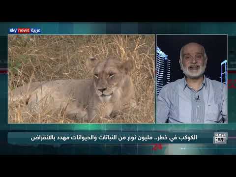 الكوكب في خطر مليون نوع من النباتات والحيوانات مهدد بالانقراض