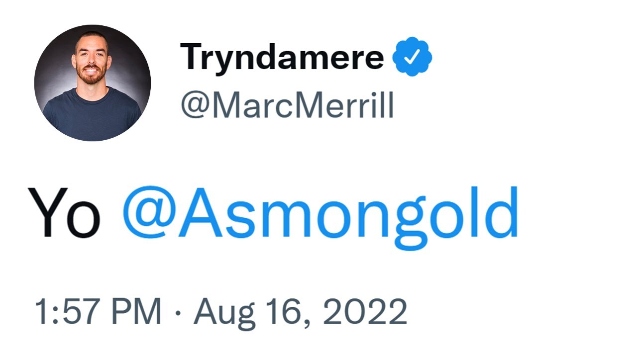 Riot's MMO is in Good Hands